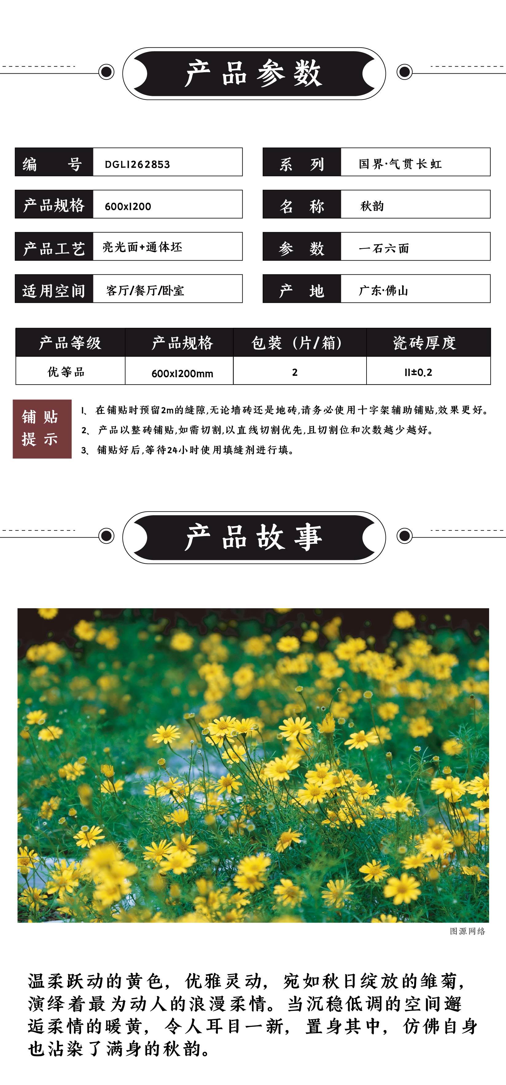 DGL1262853  秋韵_画板 1 .jpg