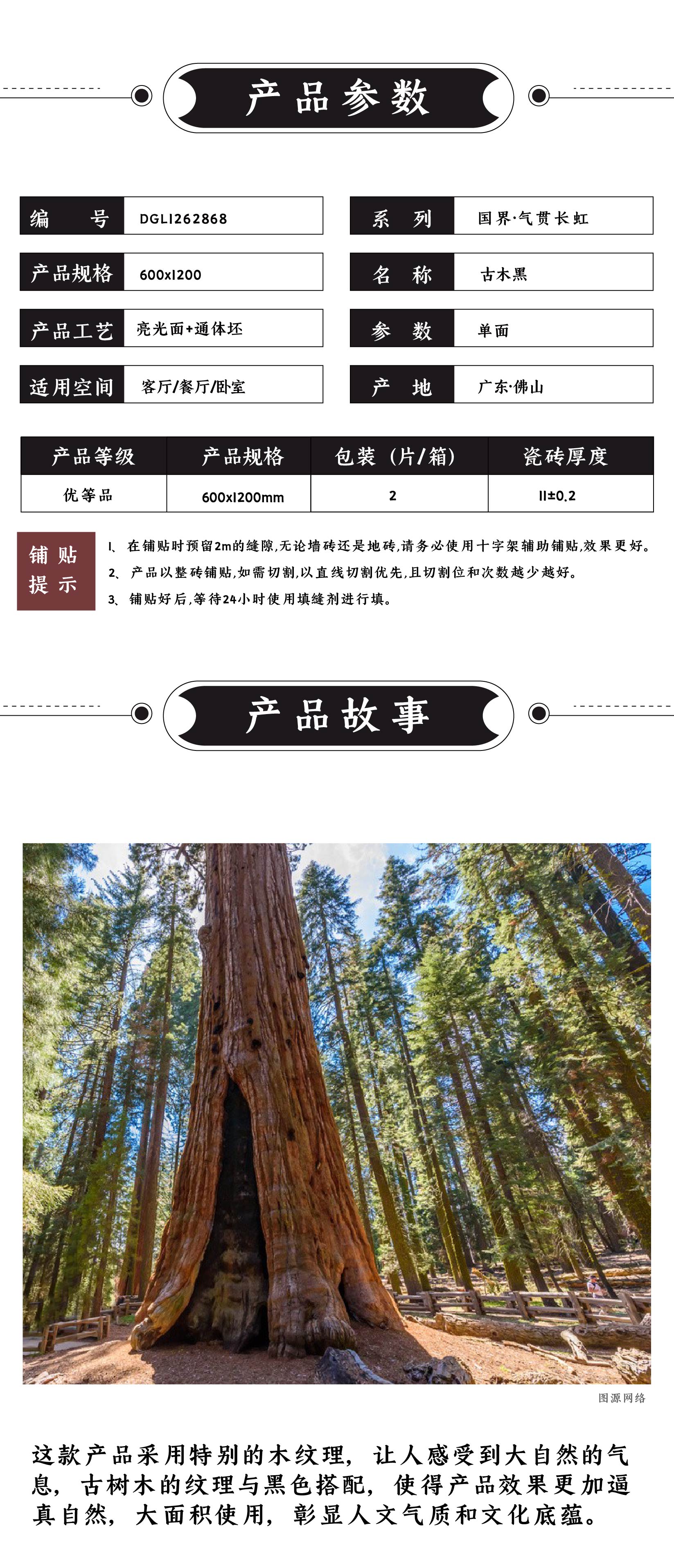 DGL1262868 古木黑_画板 1 .jpg