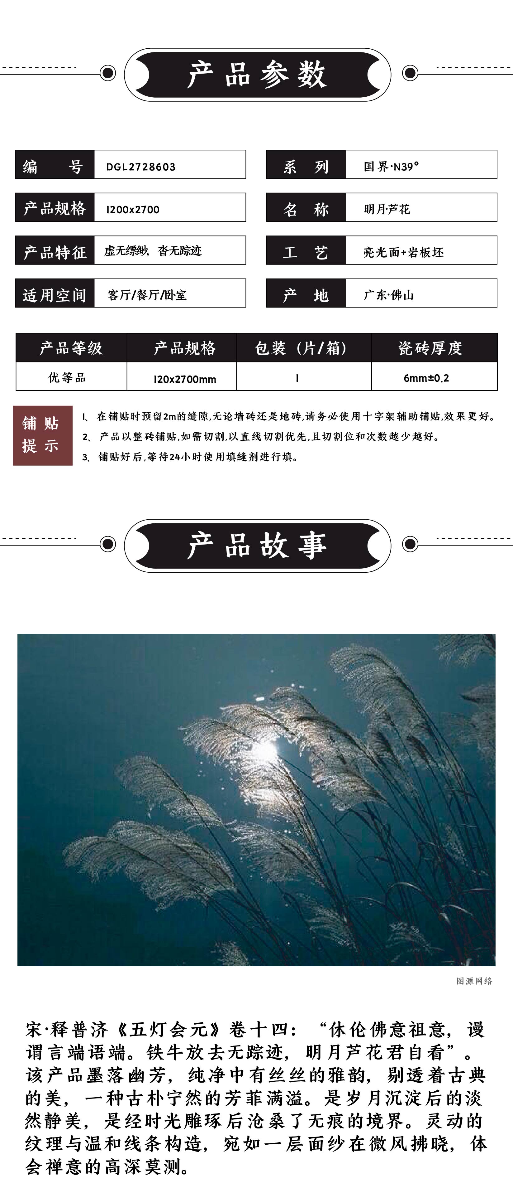 DGL2728603 明月·芦花_画板 1 .jpg