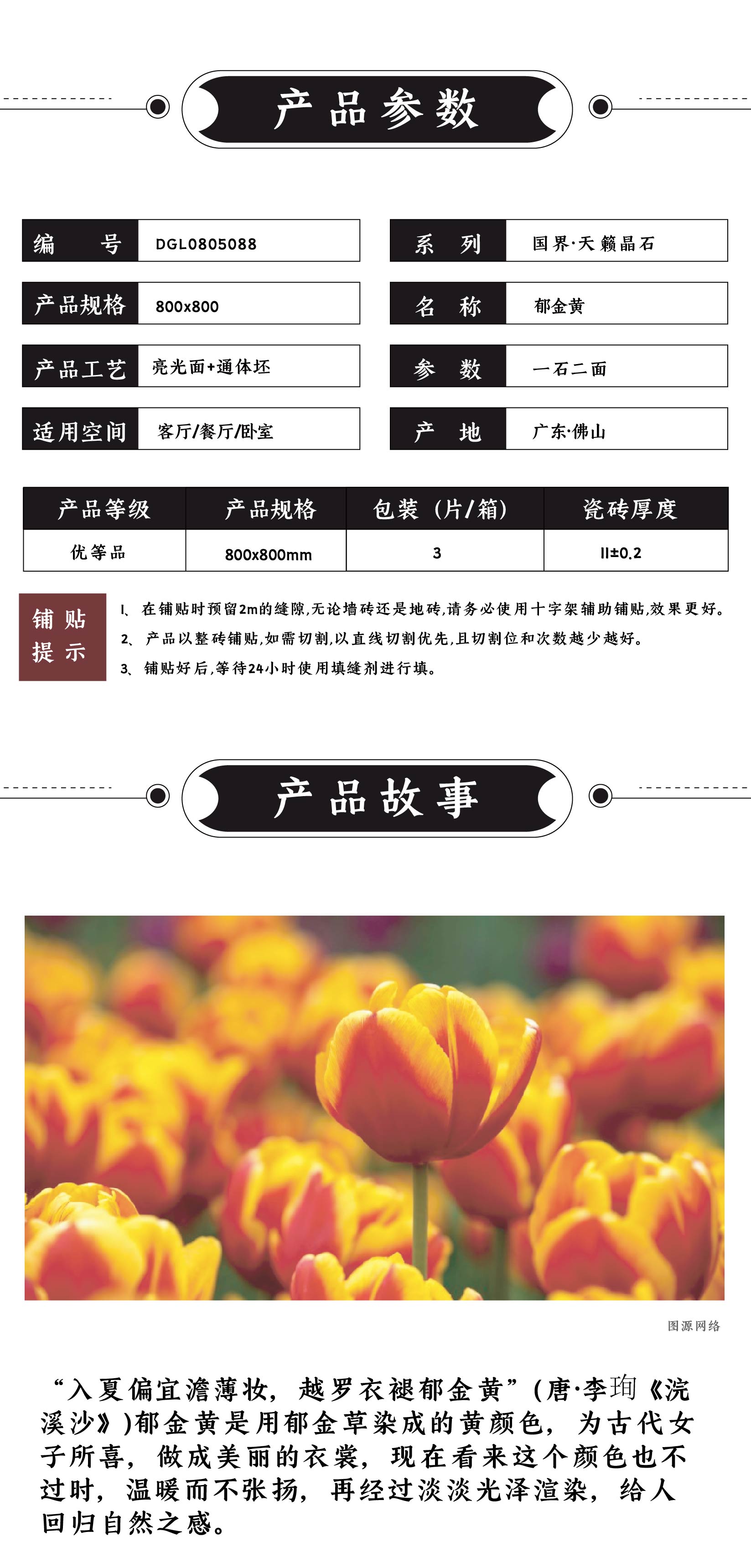 DGL0805088  郁金黄_画板 1 .jpg