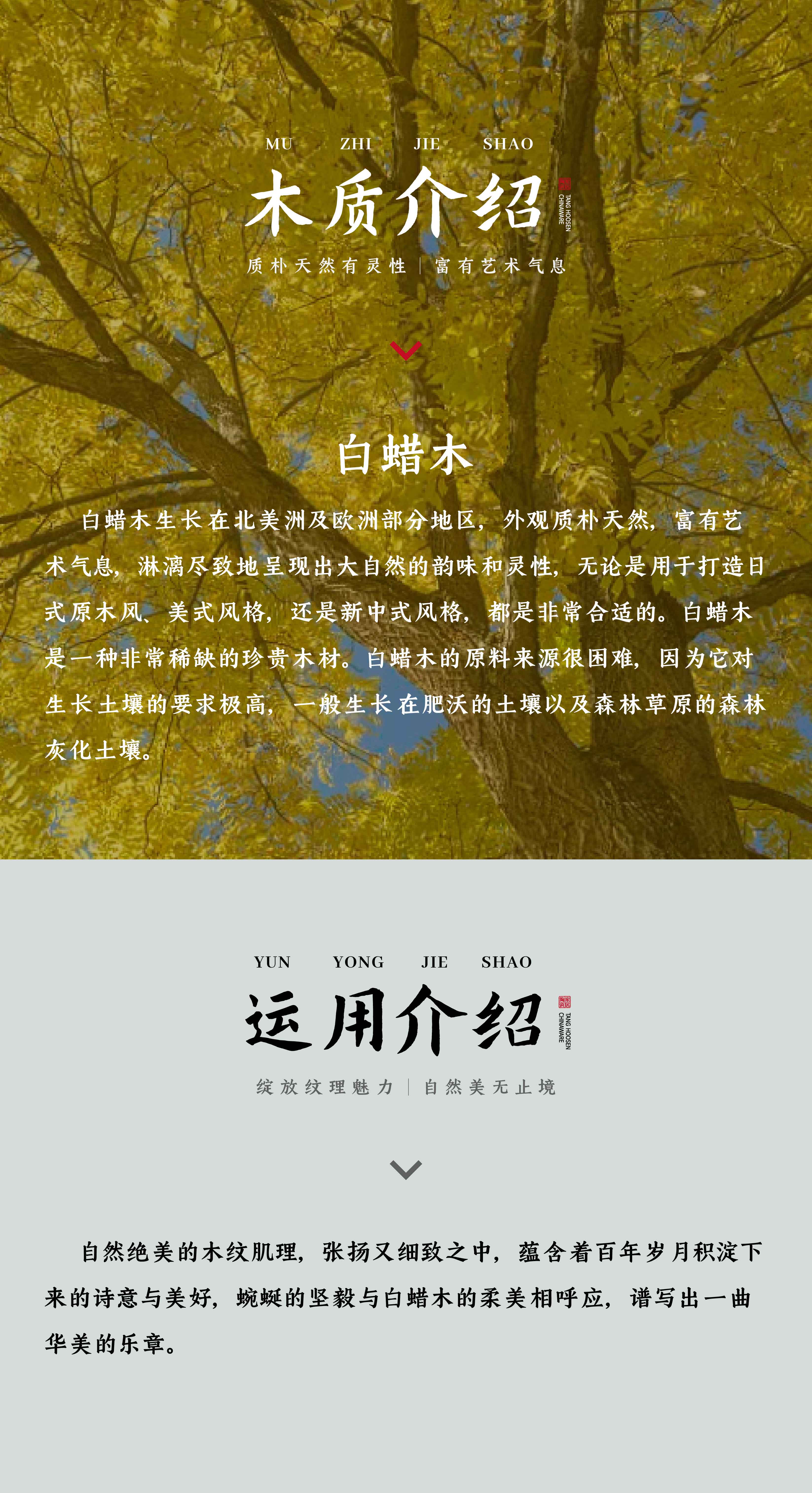 白蜡木·米黄DGW1525010_画板 1 副本 4.jpg