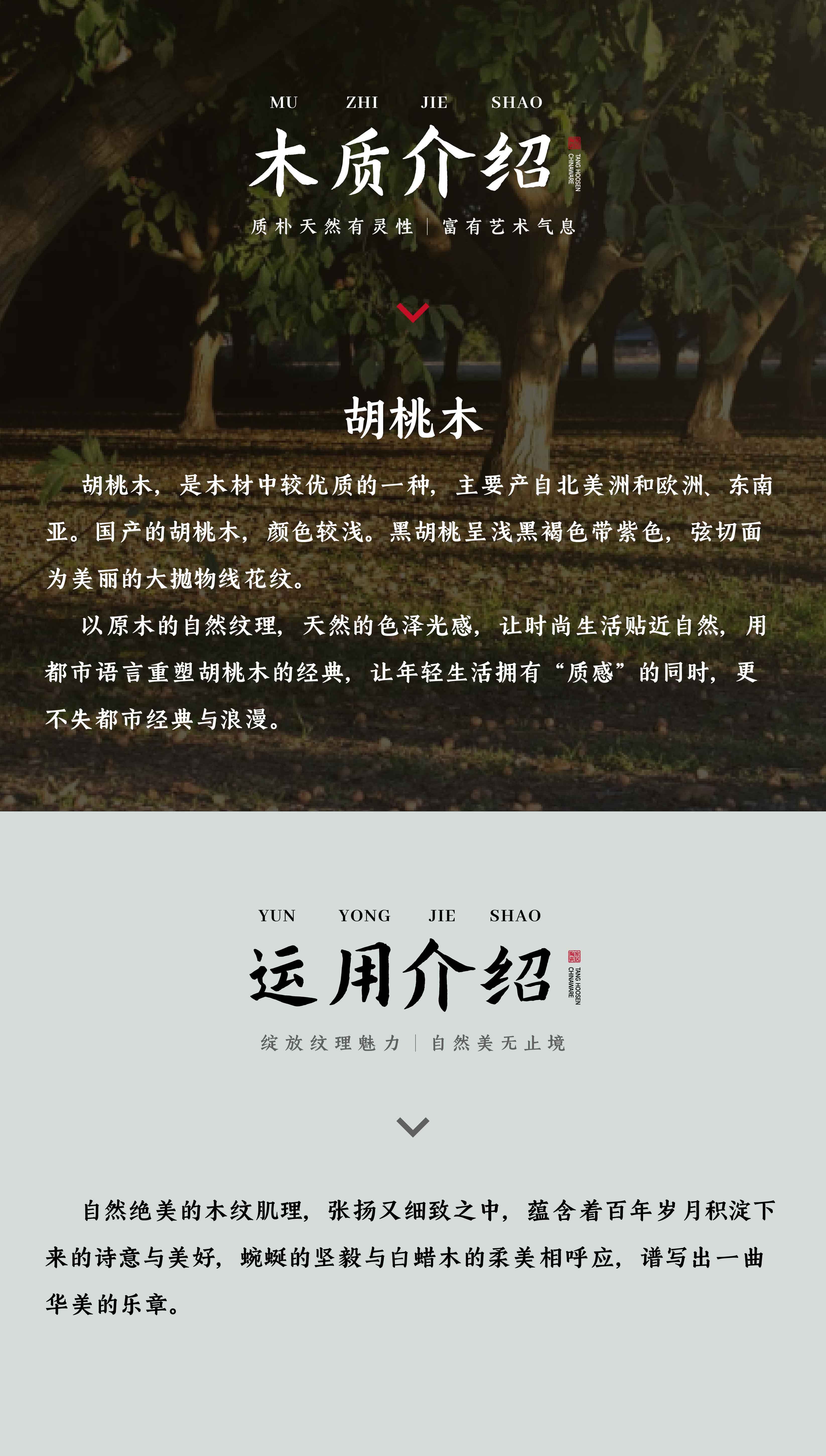 DGW1525006胡桃木·棕_画板 1 副本 4.jpg