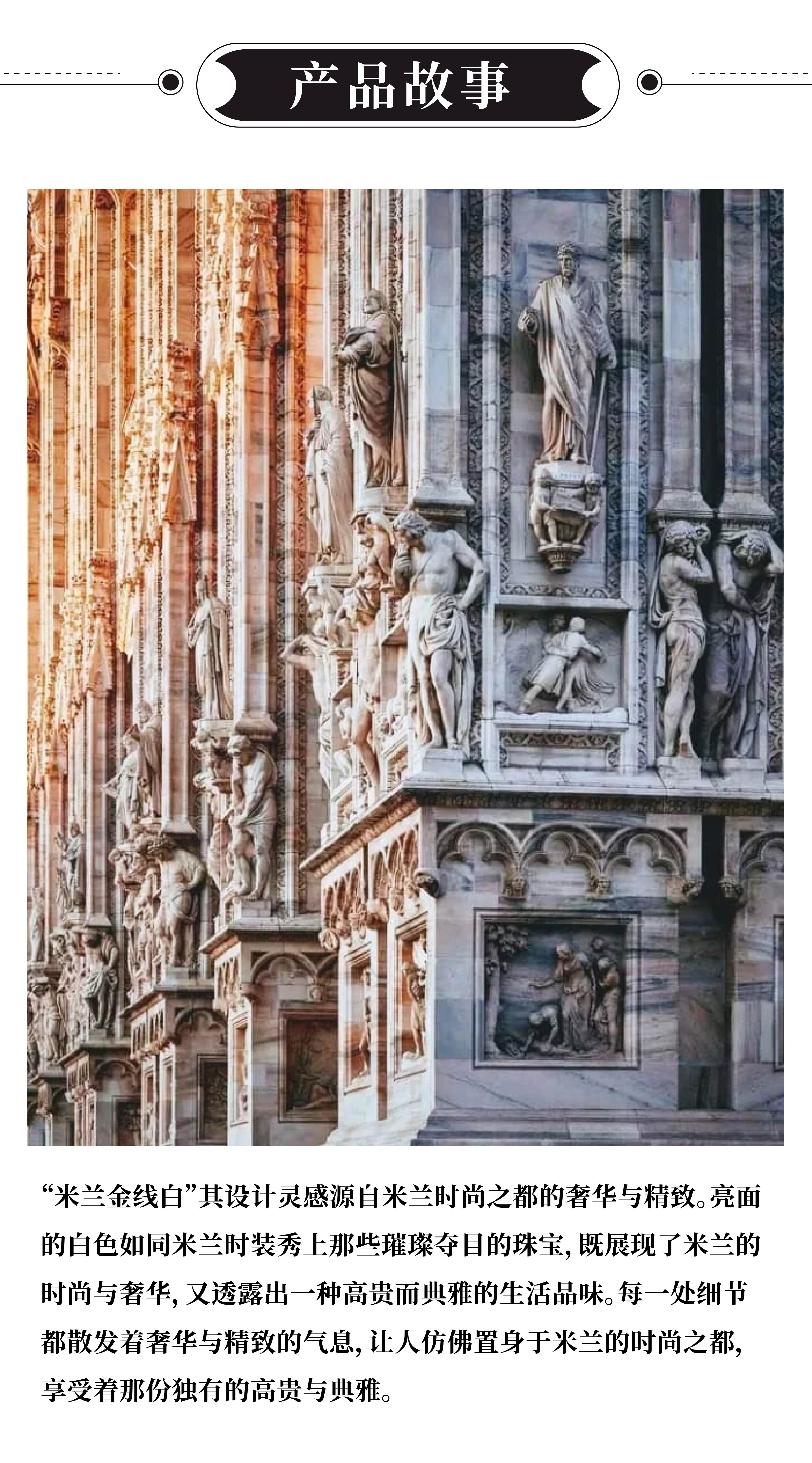 米兰金线白_画板 1 .jpg